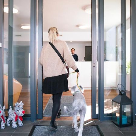 Idar Apartamenty Jelení Hora Exteriér fotografie